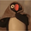 Pingu 🐧 15