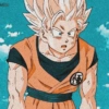 Goku 16