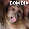 Macacos 🙈🙈🙈 7