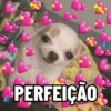 PERFEIÇÃO
MUN