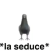 Súper Shitpost 💪😎 17