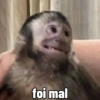 🐒 Macaco pra Reagir 25