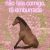 Memes aleatórios  7