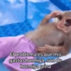 🔮Memes que NECESITAS🔮 5