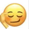 Meme 17