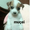 Memes aleatórios  6