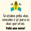 Gratidão pelos dias vencidos e fé para os dias que virão. Feliz ano novo!