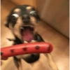Sorprendido MEMES 15