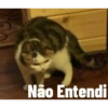 Não Entendi