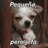 Pequeña, pero jefa.