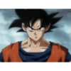 Goku 10