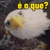 é o que?