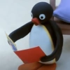 Pingu 🐧 26