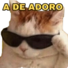 EXPRESSÕES/REAÇÕES MEMES  13