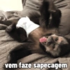 🐒 Macaco pra Reagir 14