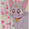 Cat heart memes 7