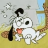 🦴🏠 SNOOPY 🏠🦴 16