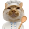 Olhas os gatinhos fofinhos 18