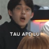 TAU APE LU!