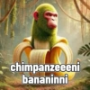 Anomali ai 9
