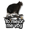 ✈️ Stickers de Todo #6 ✈️ 10