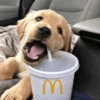 MOOD FIM DE SEMANA 20