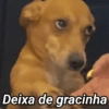 Deixa de gracinha