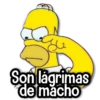 ✈️ Stickers de Todo #6 ✈️ 9