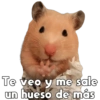 💞🐹Hamstercitos De Amor🐹💞 10