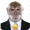 🐒 Reacciones de monitos🐒 6