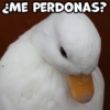 ME PERDONAS?