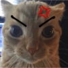No estoy enojado  8