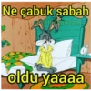 Ne çabuk sabah Pathopandam oldu yaaaa