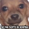 🍂 Stickers de Todo #7 🍂 12