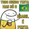 TORCENDO COM FLORK🇧🇷🟩🟨 8