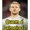 Quem é Palmeiras ?