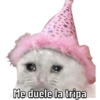 😳Memesitos Mor😎👀 5