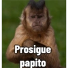 Changuitos pa' comentar 13