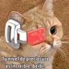 Gatitos Pa’ Enamorar 🐈‍⬛🐈 13