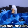 BUENAS NOCHES