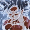 Goku 6