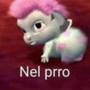 Nel prro