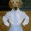 🐶🐕🦴PERRITOS | DOGS🦴🐕🐶 24