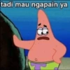 tadi mau ngapain ya