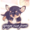 REAÇÕES DO TWITTER 14