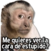 Changuitos Stickers🐒🍌 6