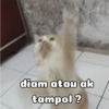 diam atau ak tampol ?