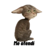 Frases estilo michi 🐱🐈 11