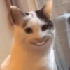 Smiling Cat Meme