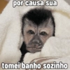 🐒 Macaco pra Reagir 9